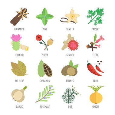 Baharat set vektör çizim