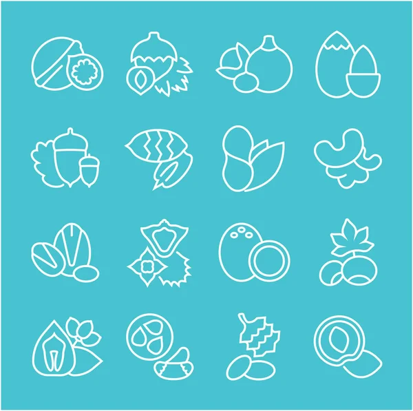 Fındık vektör düz çizgi Icons set