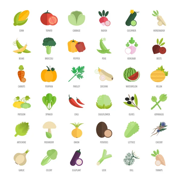 Set Vector Ilustración de Verduras — Vector de stock