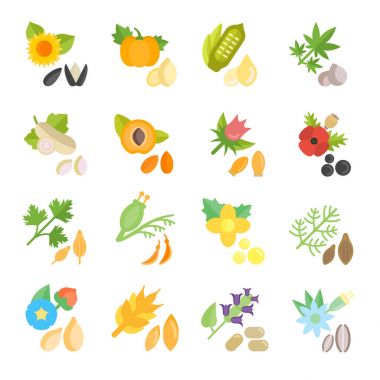 Tohum vektör düz Icons set