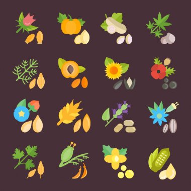 Tohum vektör düz Icons set