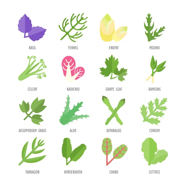 Set vectoriel Icônes plates de verdure — Image vectorielle