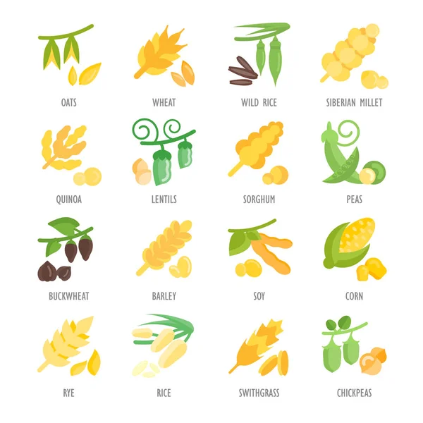 Kabuğu çıkarılmış tane vektör düz Icons set