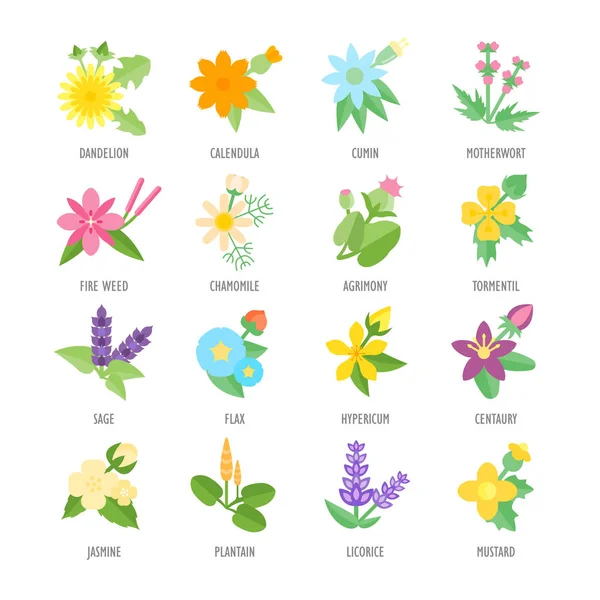 Otlar vektör düz Icons set