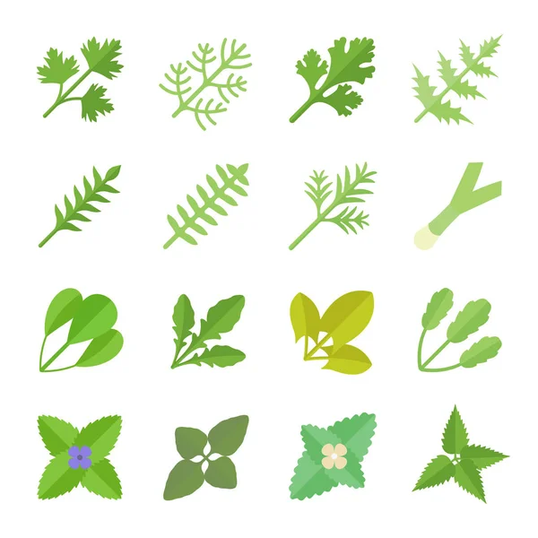 Set Vector Flat Icons of Greenery — Stock Vector