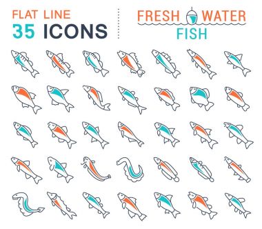 Set Vector Line Icons of Freshwater Fish clipart