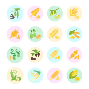 Kabuğu çıkarılmış tane vektör düz Icons set