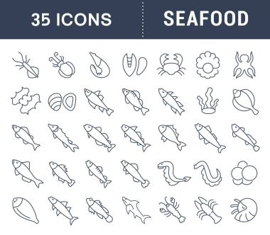 Deniz ürünleri vektör hat Icons set