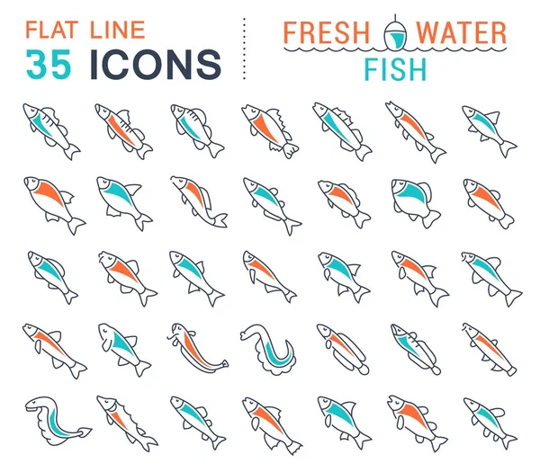 Set Vector Line Icons of Freshwater Fish — Stock Vector