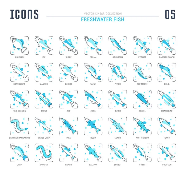 Tatlı su balık mavi çizgi Icons set