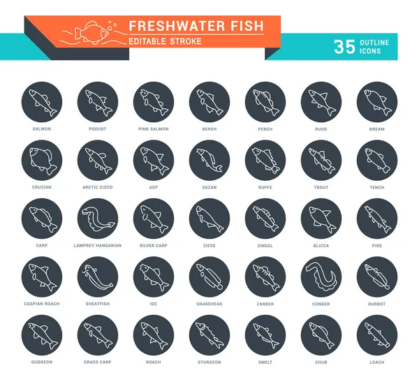 Definir ícones de linha vetorial de peixes de água doce . — Vetor de Stock