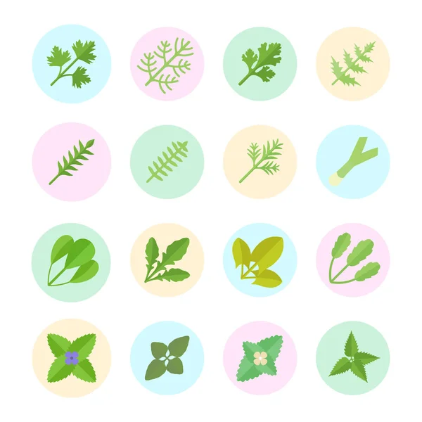 Set Vector Flat Icons of Greenery — Stock Vector