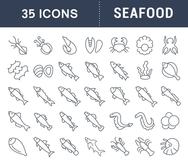 Set Vector Line Icons of Seafood — Stock Illustration Set Vector Line Icons of Seafood Stock Illustration