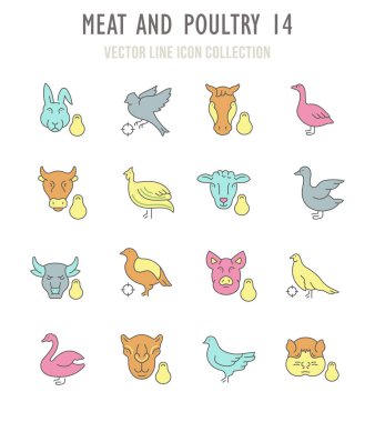 İnce çizgi elemanları ile toplama vektör düz simgeler. Modern, temiz, anahat işaretleri, et ve kümes hayvanları sembolü ve vektör sanat kümesi. Web için basit doğrusal Infographic ve sembol serisi.
