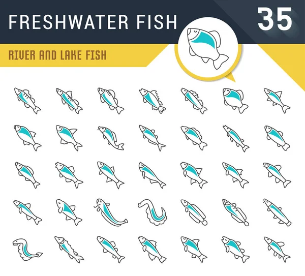 Conjunto Ícones Linha Vetorial Sinal Símbolos Peixes Água Doce Para — Vetor de Stock