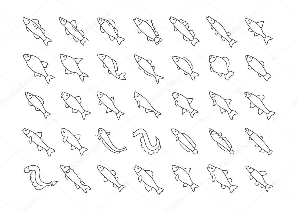 Collection of line gray icons of freshwater fish. Set of vector simple concepts for creative projects and apps. Info graphics elements and pictograms.