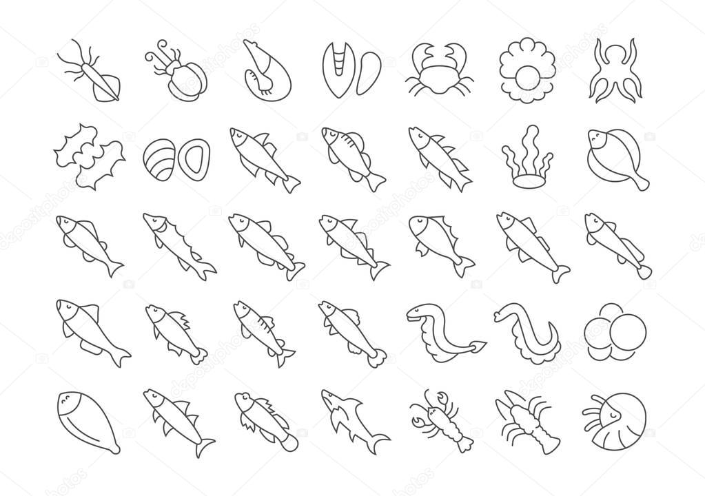 Collection of line gray icons of seafood. Set of vector simple concepts for creative projects and apps. Info graphics elements and pictograms.