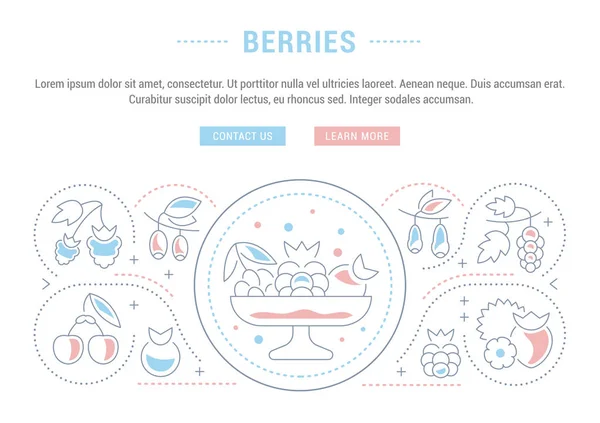 Website Banner and Landing Page of Berries.