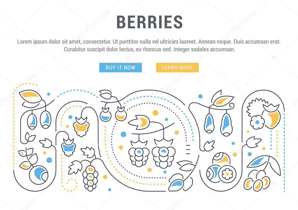 Website Banner and Landing Page of Berries.