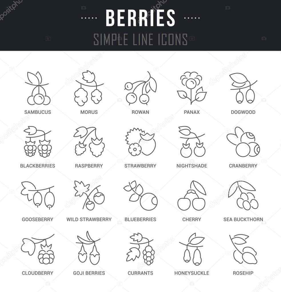 Set Vector Line Icons of Berries.