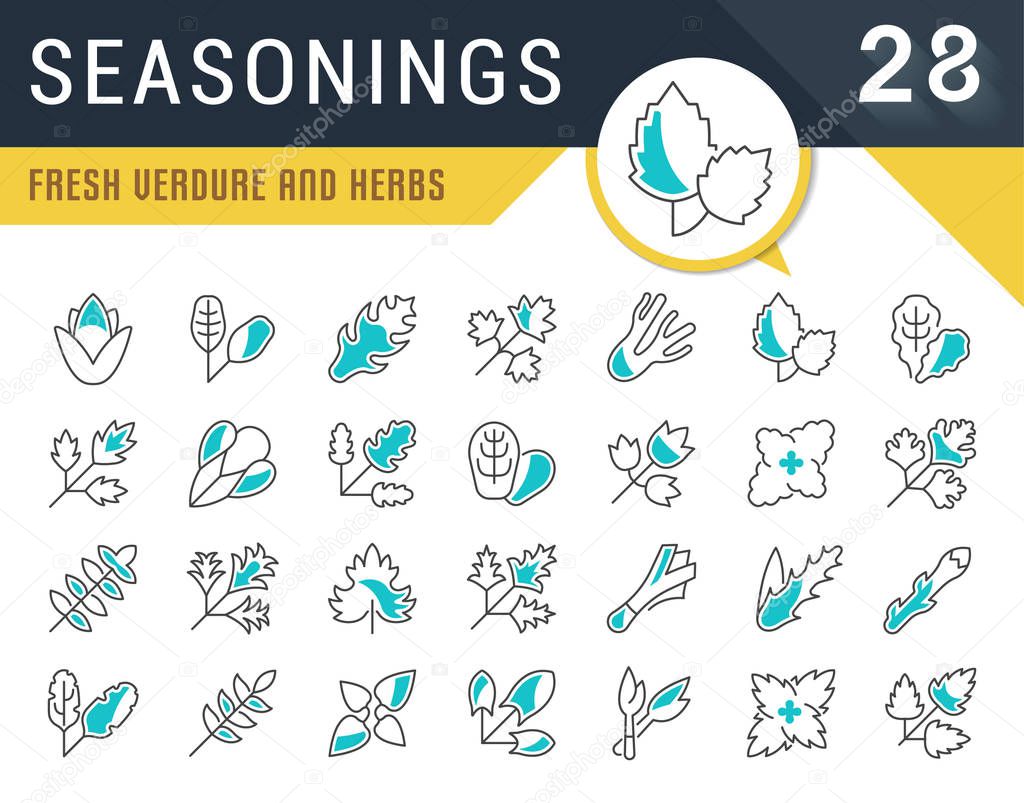 Set Vector Line Icons of Seasonings.
