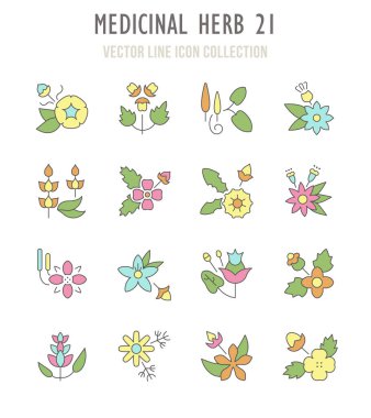 Şifalı bitki Retro simgeler kümesi.