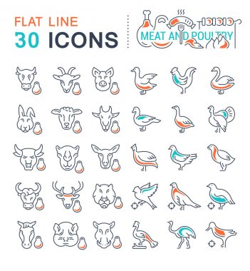 Et ve kümes hayvanları vektör hat Icons set.