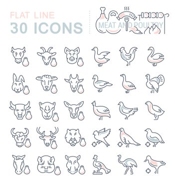 Et ve kümes hayvanları vektör hat Icons set.