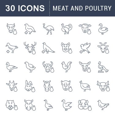 Et ve kümes hayvanları vektör hat Icons set.