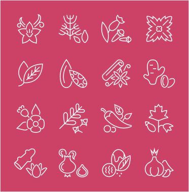 Satır Icons baharat seti.