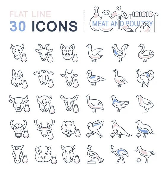 Set Vector Line Iconos de Carne y Aves . — Archivo Imágenes Vectoriales