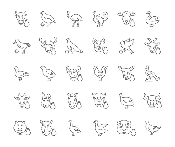 Набор простых икон мяса и птицы . — стоковый вектор