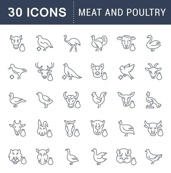 Definir ícones de linha vetorial de carne e aves . — Vetor de Stock