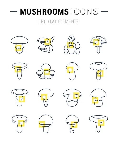 Set Vector Line Icons of Mushrooms. — Stock Vector