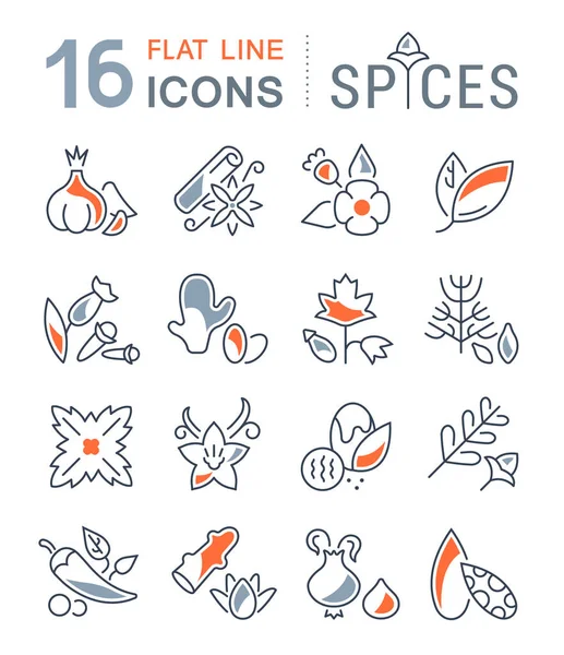 Conjunto de iconos de línea vectorial de especias . — Archivo Imágenes Vectoriales