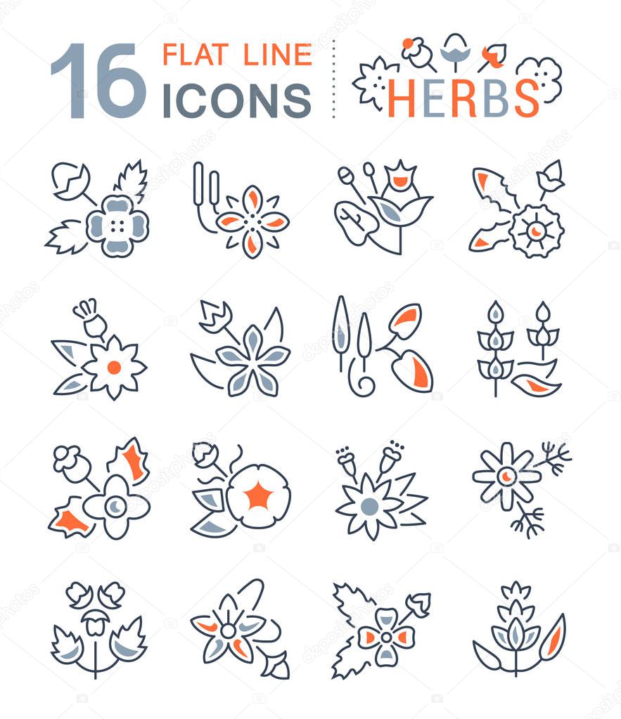 Set of vector line icons, sign and symbols with flat elements of herbs for modern concepts, web and apps. Collection of infographics logos and pictograms.