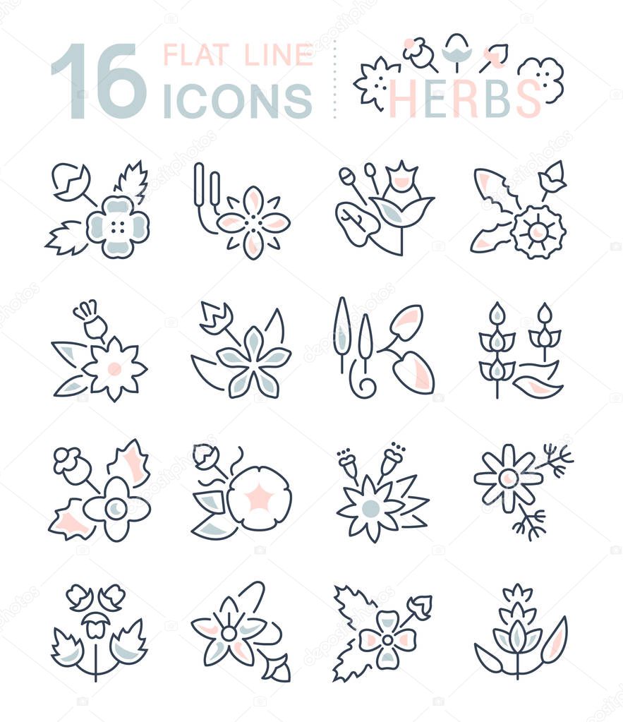 Set of vector line icons, sign and symbols with flat elements of herbs for modern concepts, web and apps. Collection of infographics logos and pictograms.