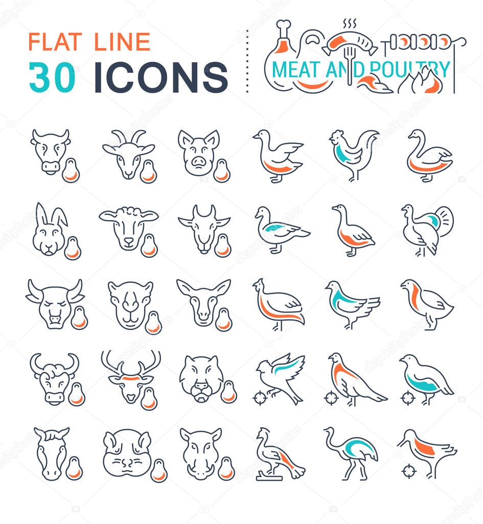 Set of vector line icons, sign and symbols with flat elements of meat and poultry for modern concepts, web and apps. Collection of infographics logos and pictograms.