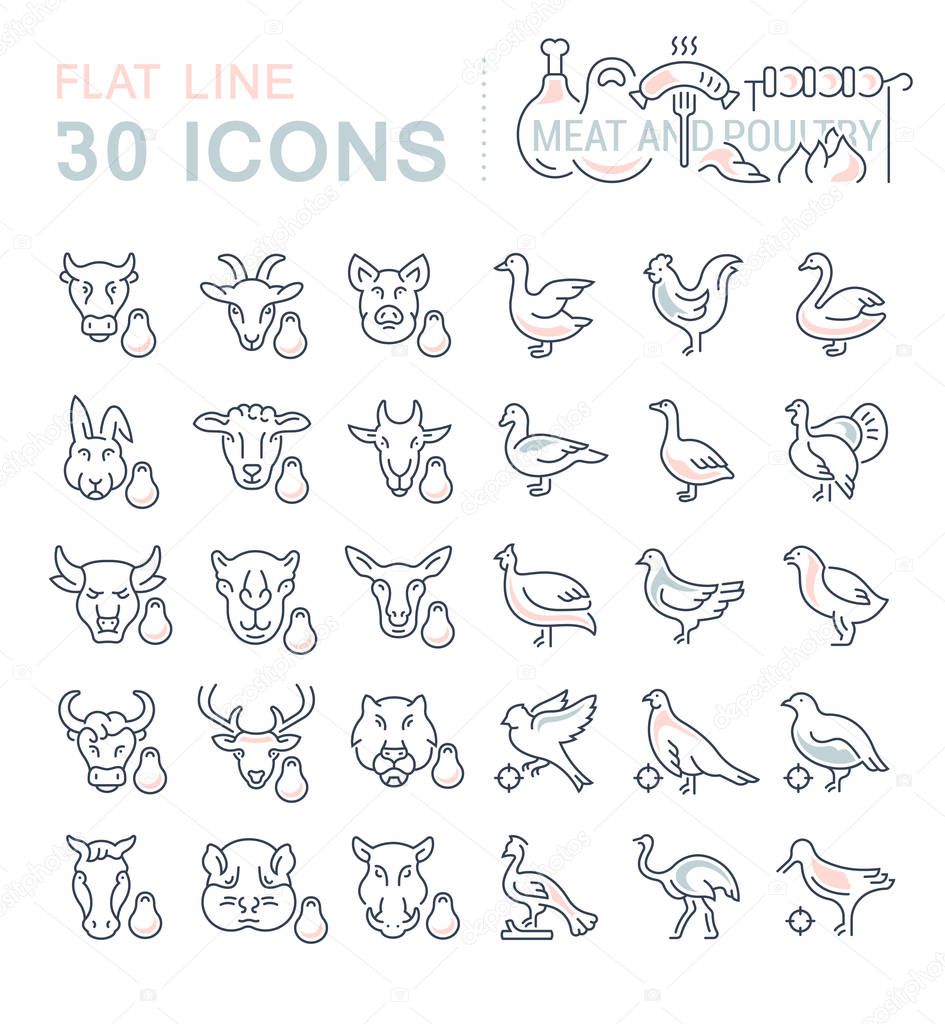 Set of vector line icons, sign and symbols with flat elements of meat and poultry for modern concepts, web and apps. Collection of infographics logos and pictograms.