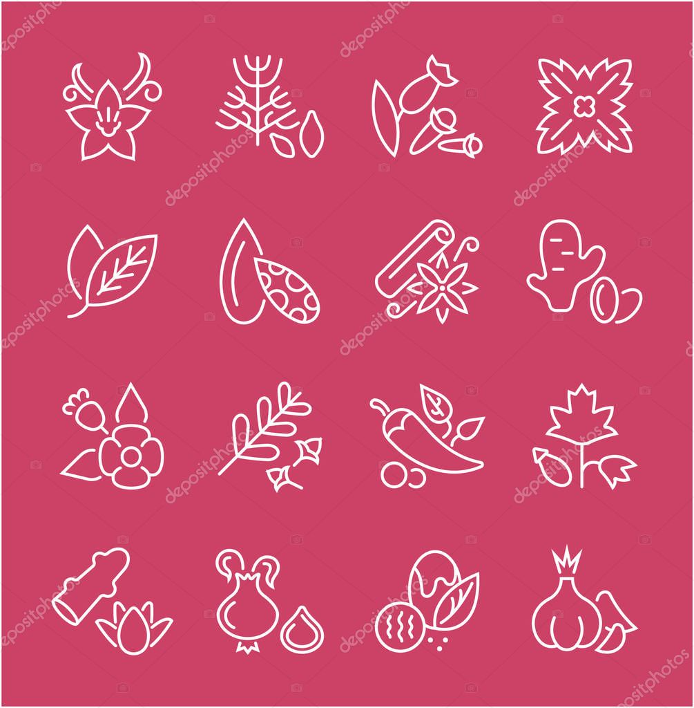 Collection of line white icons of spices. Set of vector simple elements with bold outlines on a color background. Info graphics signs and pictograms.