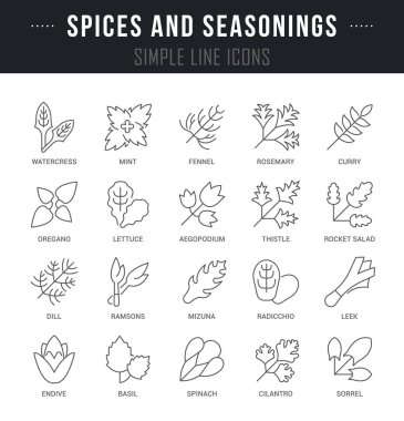 Baharat ve baharat vektör hat Icons set.