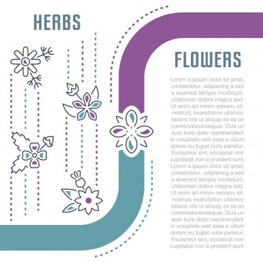 Web sitesi Banner ve açılış sayfası otlar ve çiçek.