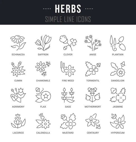 Set Vector Line Icons of Herbs. — Stock Vector