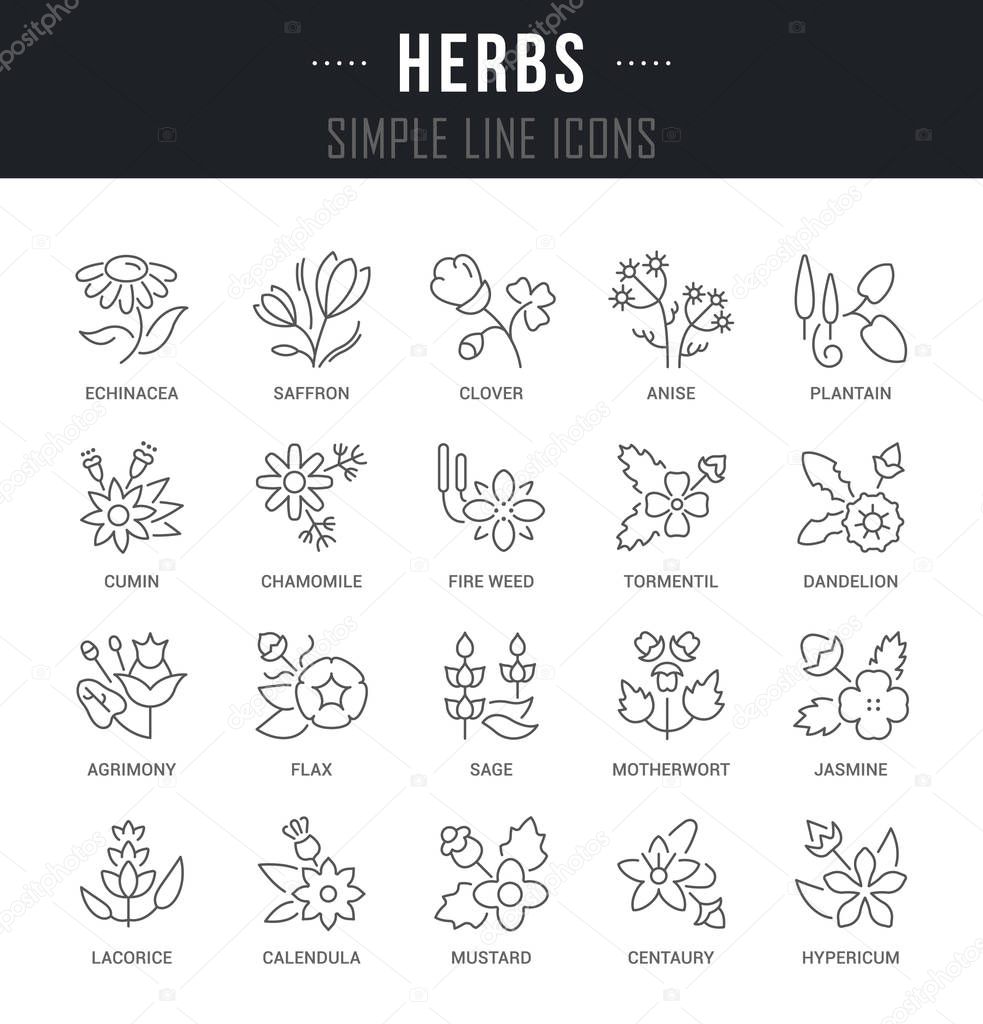 Set Vector Line Icons of Herbs.