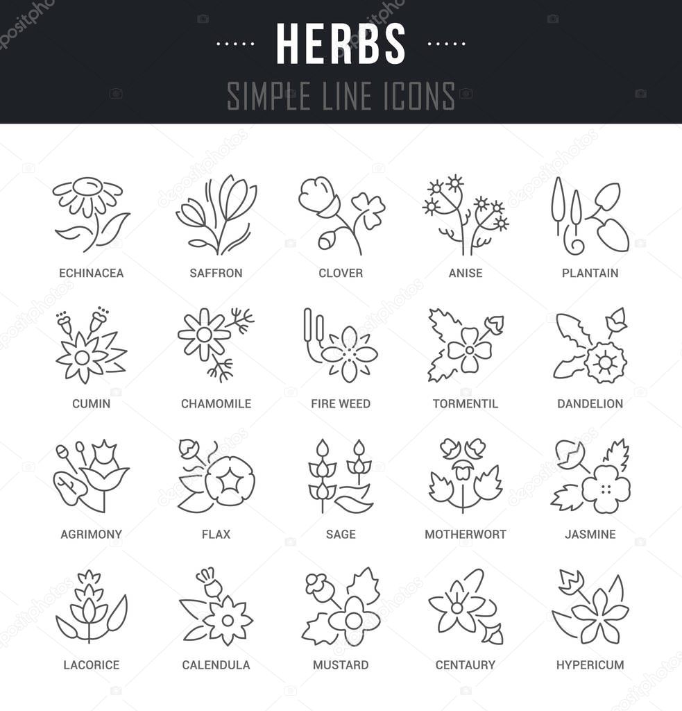 Set of outline signs and symbols of herbs with names. Collection vector thin line icons and infographics elements. Simple linear pictogram pack for web graphics and apps.