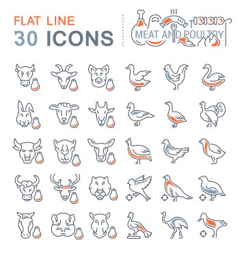 Et ve kümes hayvanları vektör hat Icons set.