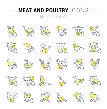 Et ve kümes hayvanları vektör hat Icons set.