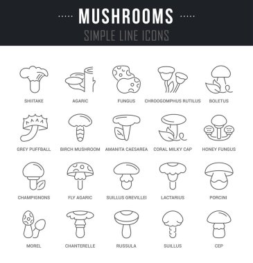 Mantar vektör hat Icons set.