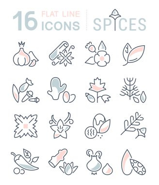 Baharat vektör hat Icons set.