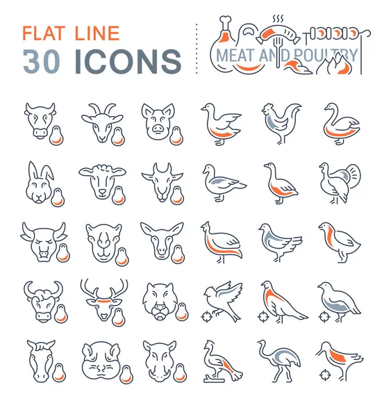 Set Vector Line Iconos de Carne y Aves . — Vector de stock